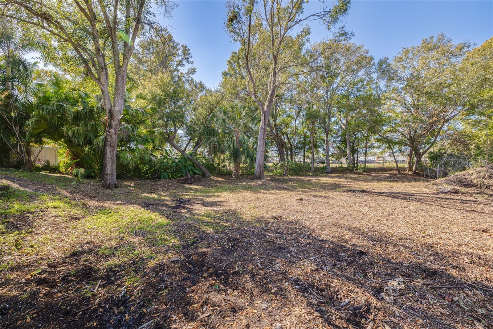 271 SWEETGUM CT