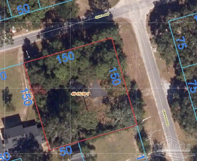 215 Hansen Blvd Unit: Overall