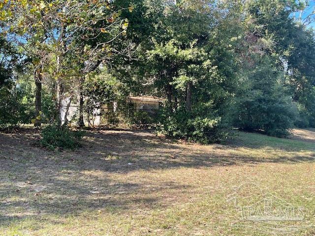 215 Hansen Blvd Unit: Overall