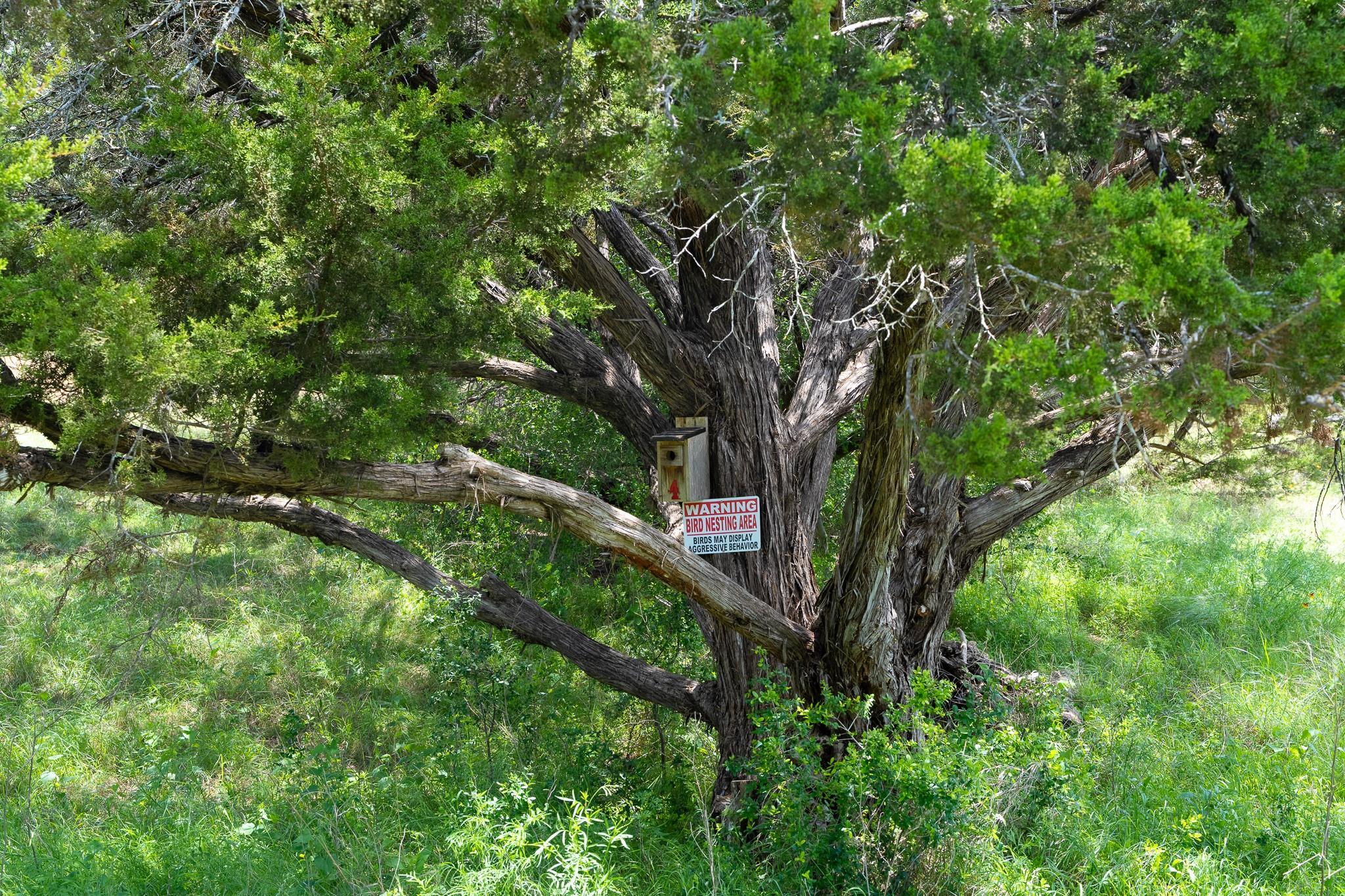 Lot 156 Hilandale DR