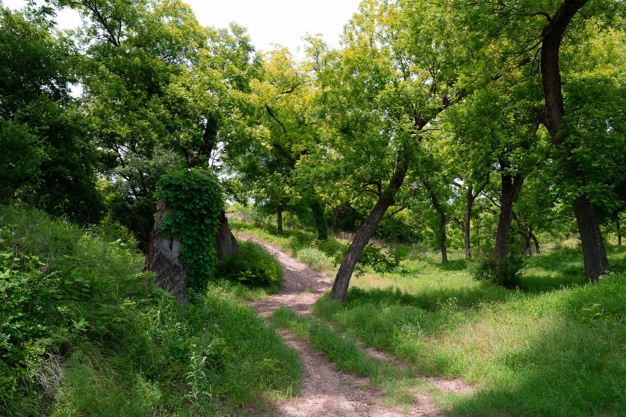 Lot 156 Hilandale DR