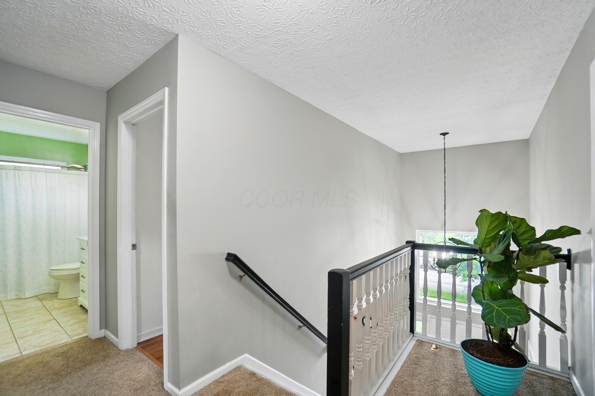 6180 Clover Place