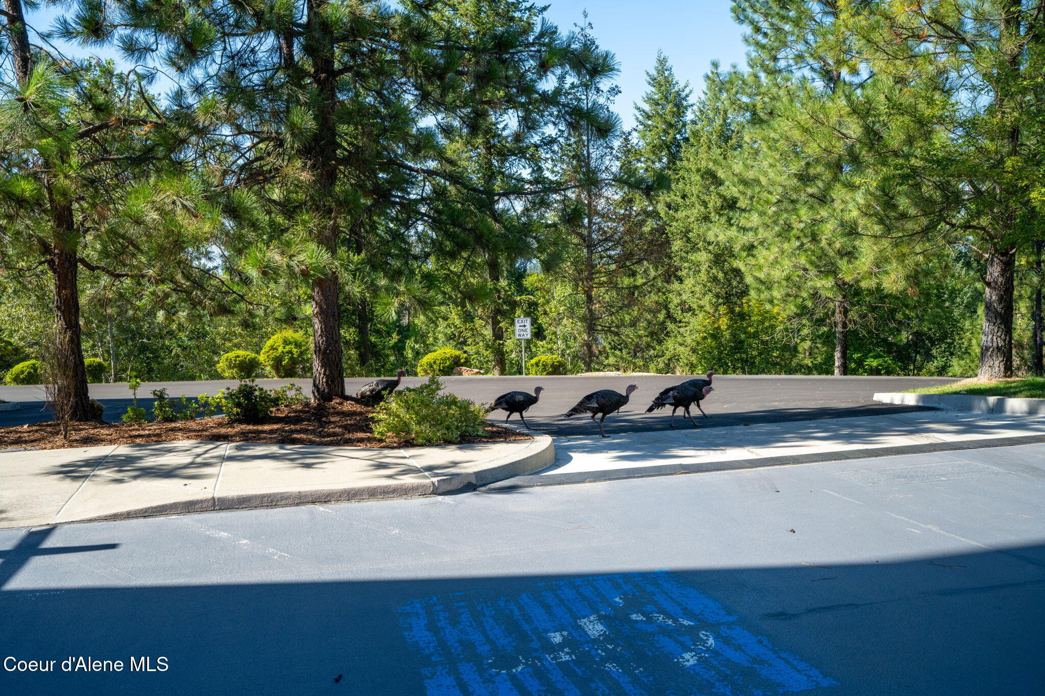 1700 E TOWER POINTE DR #302