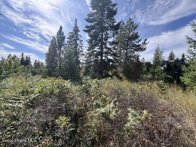 3915 W Cielo View CT, Coeur d'Alene