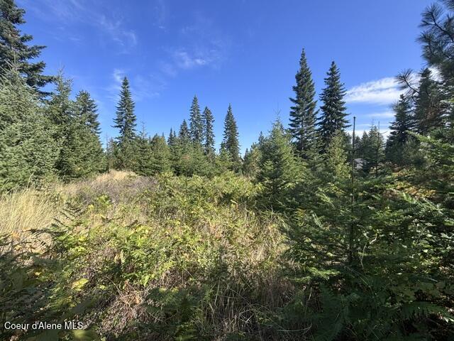 3915 W Cielo View CT, Coeur d'Alene
