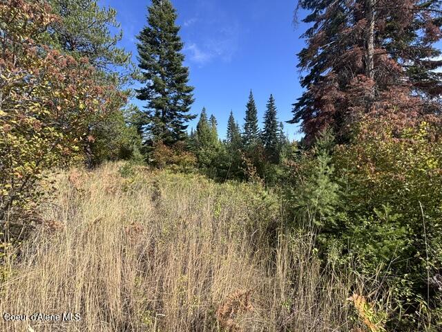 3915 W Cielo View CT, Coeur d'Alene