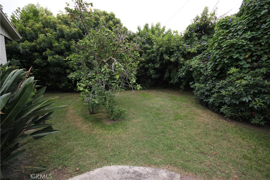 9892 Oma Place