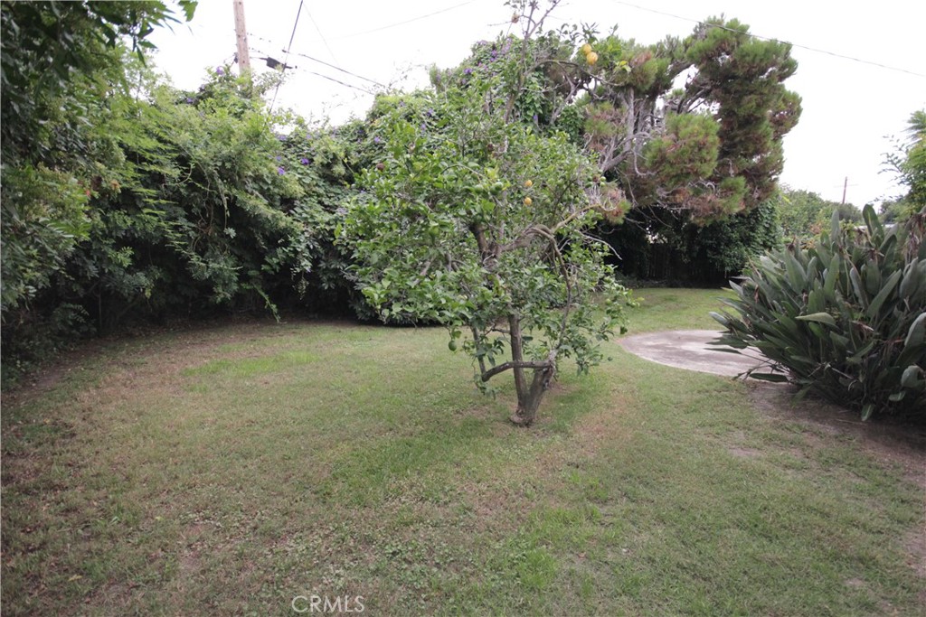 9892 Oma Place