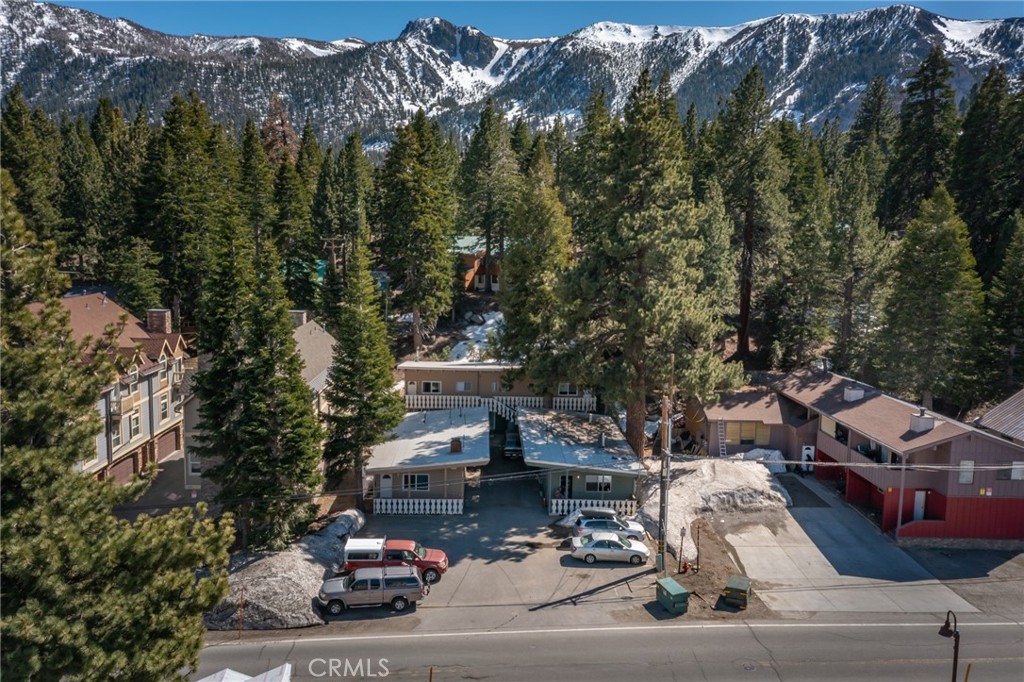 1801 Old Mammoth
