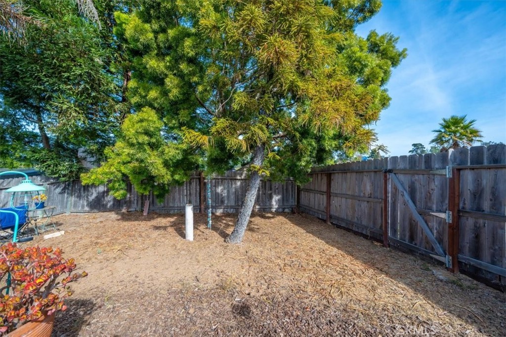 2531 Cienaga Street 42