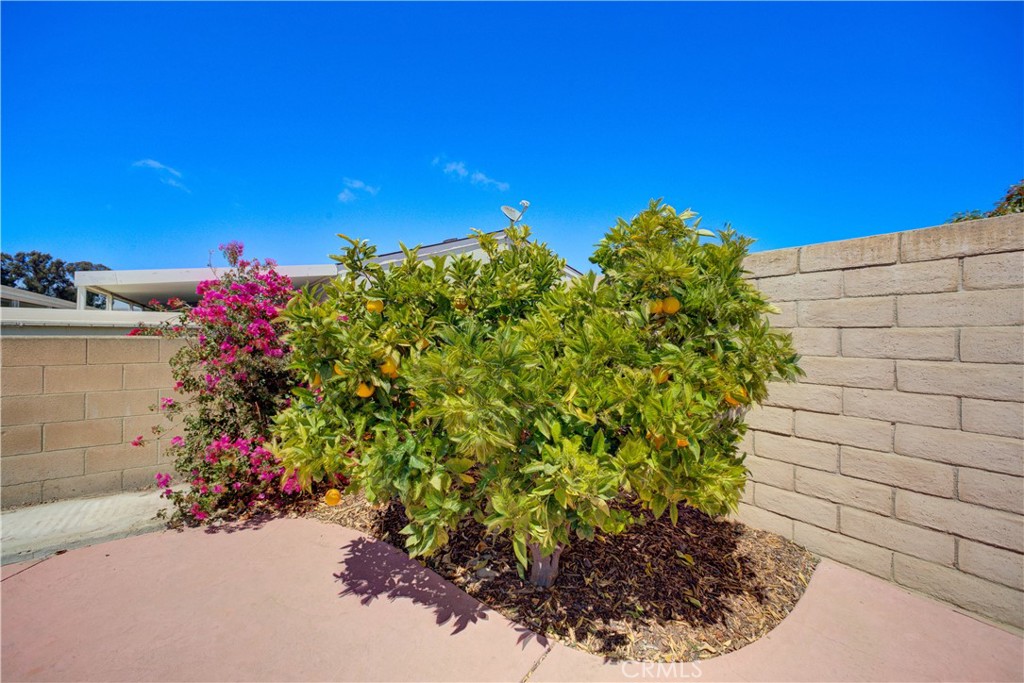 1629 Hillsboro Drive