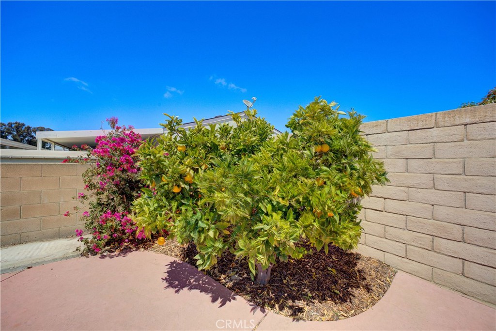 1629 Hillsboro Drive