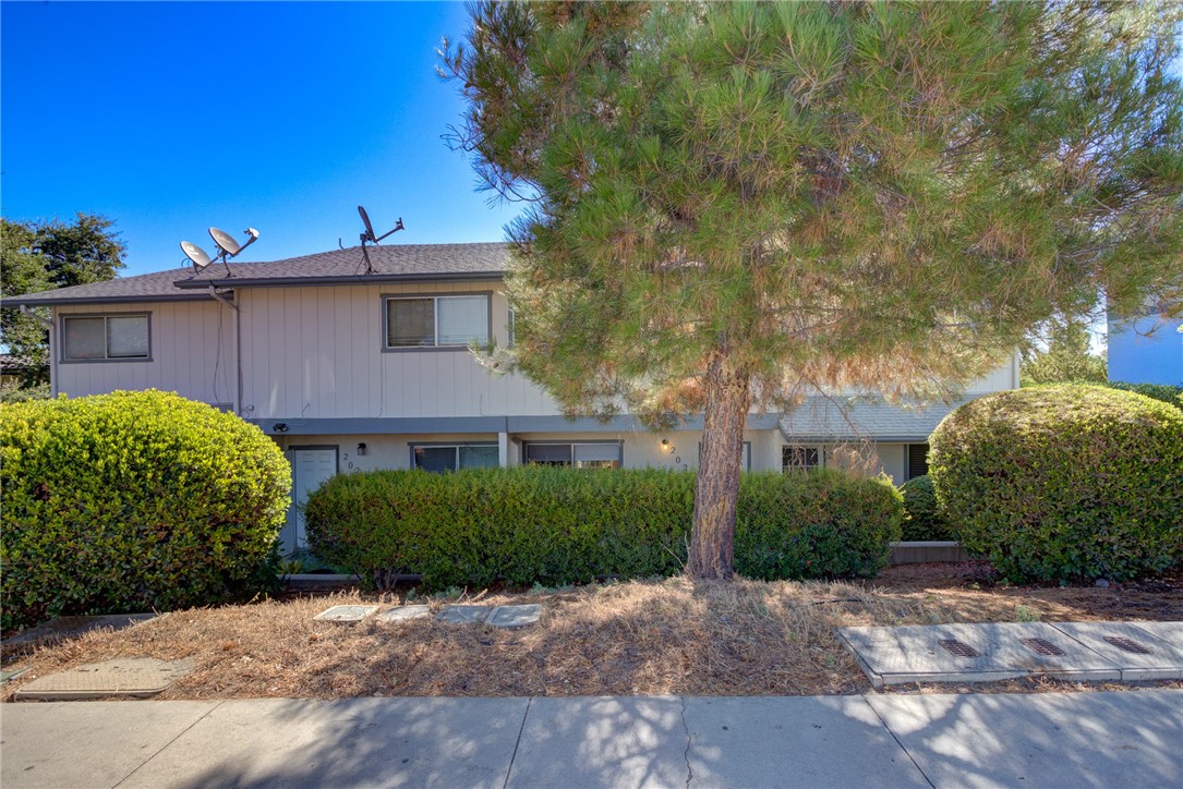 2026 Pine