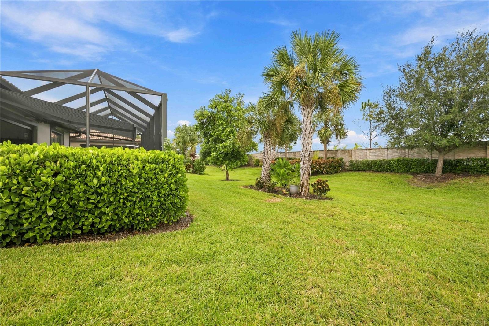 Backyard lawn with palm trees, clipped hedges, and a screened lanai.