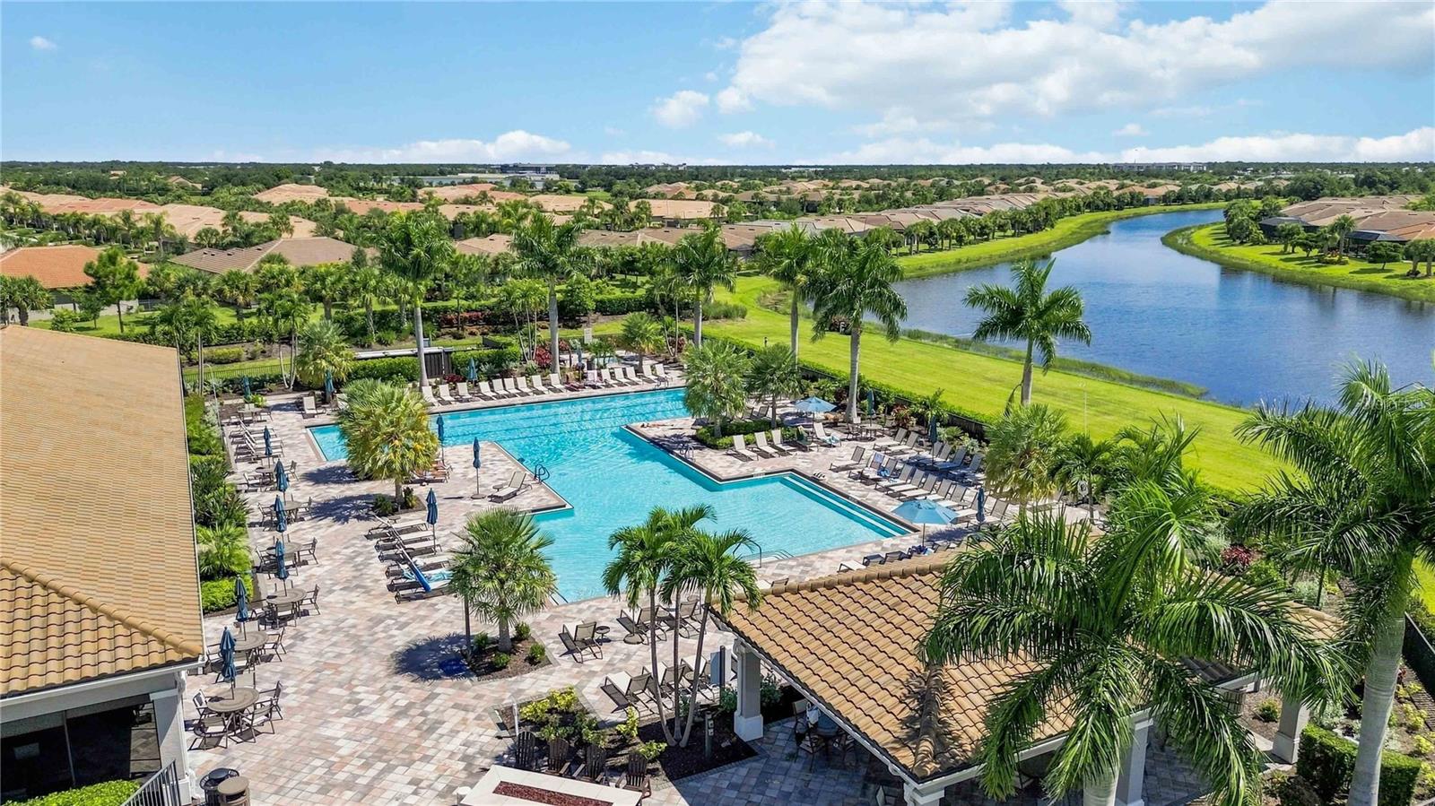 Aerial view of a community pool with palm trees, lounge chairs, and a pond beside nearby homes.