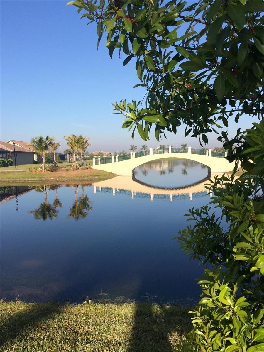 Community pond reflecting a pale arched bridge, framed by palm trees and leafy branches.
