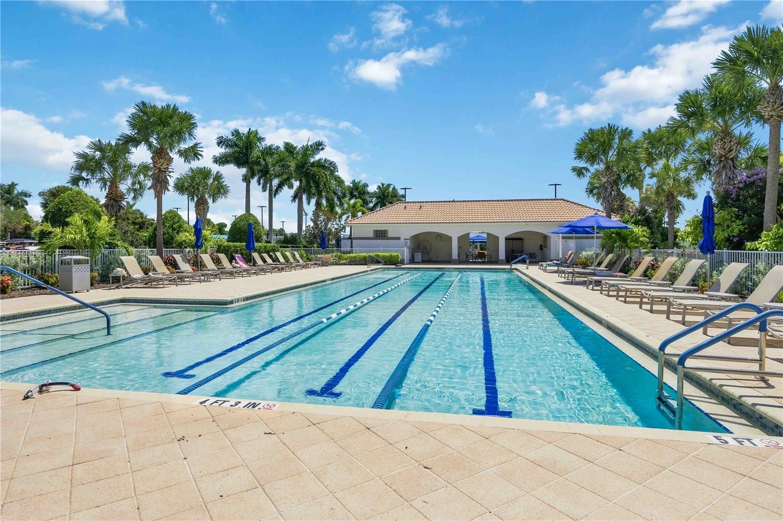 Community swimming pool with lane markings, palm trees, lounge chairs, and a covered pavilion.