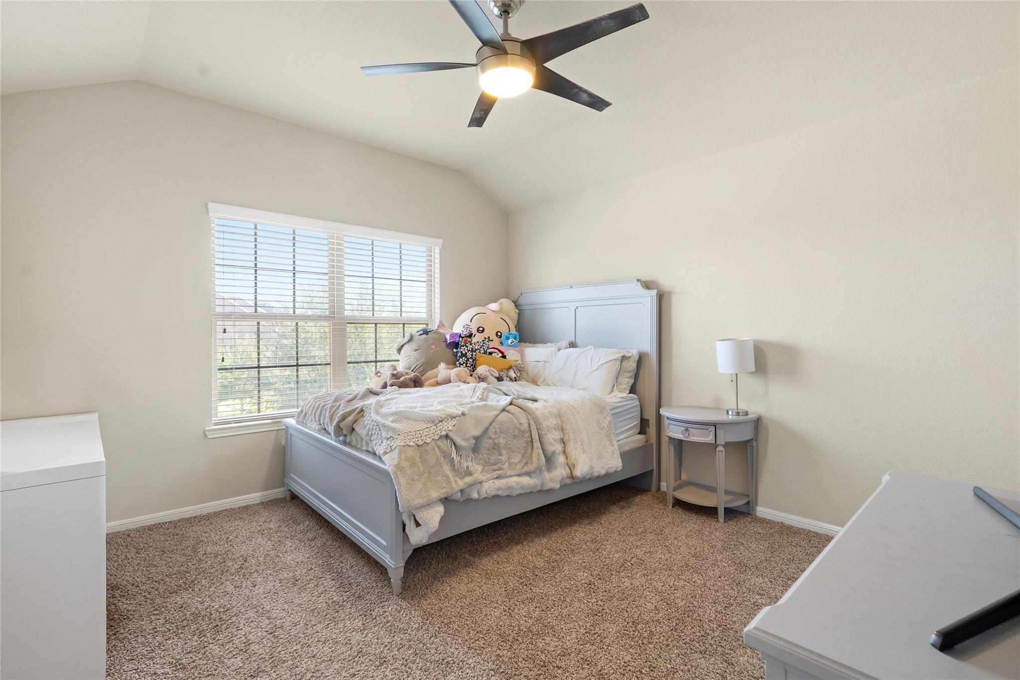 3650 Daintree Park Drive