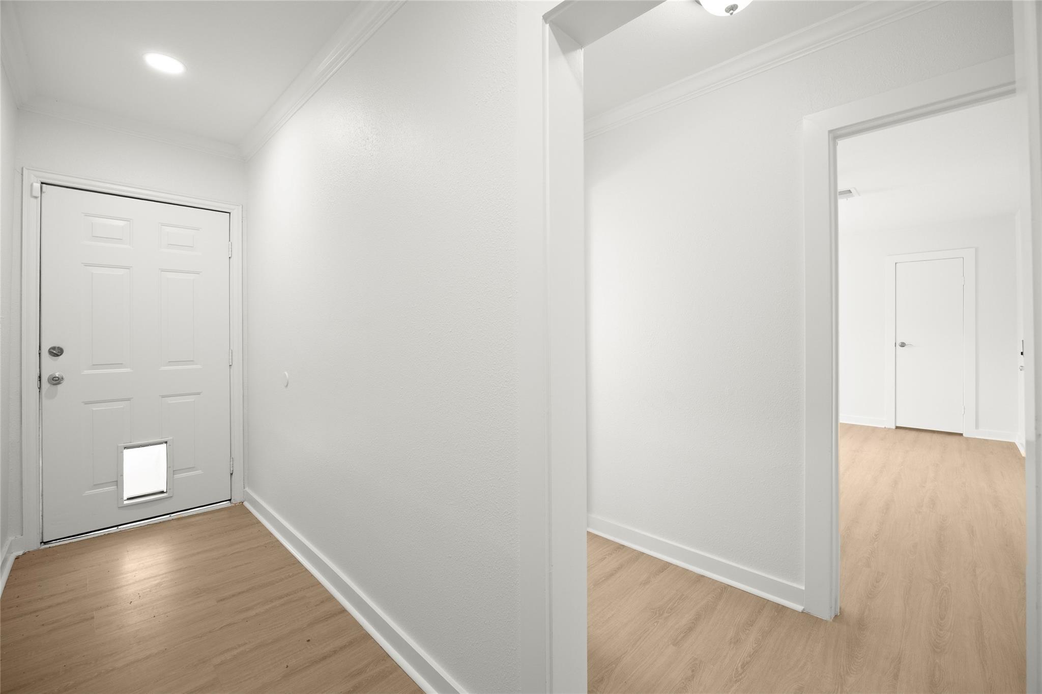 Empty entry hall with light wood floors and a front door with a pet flap.