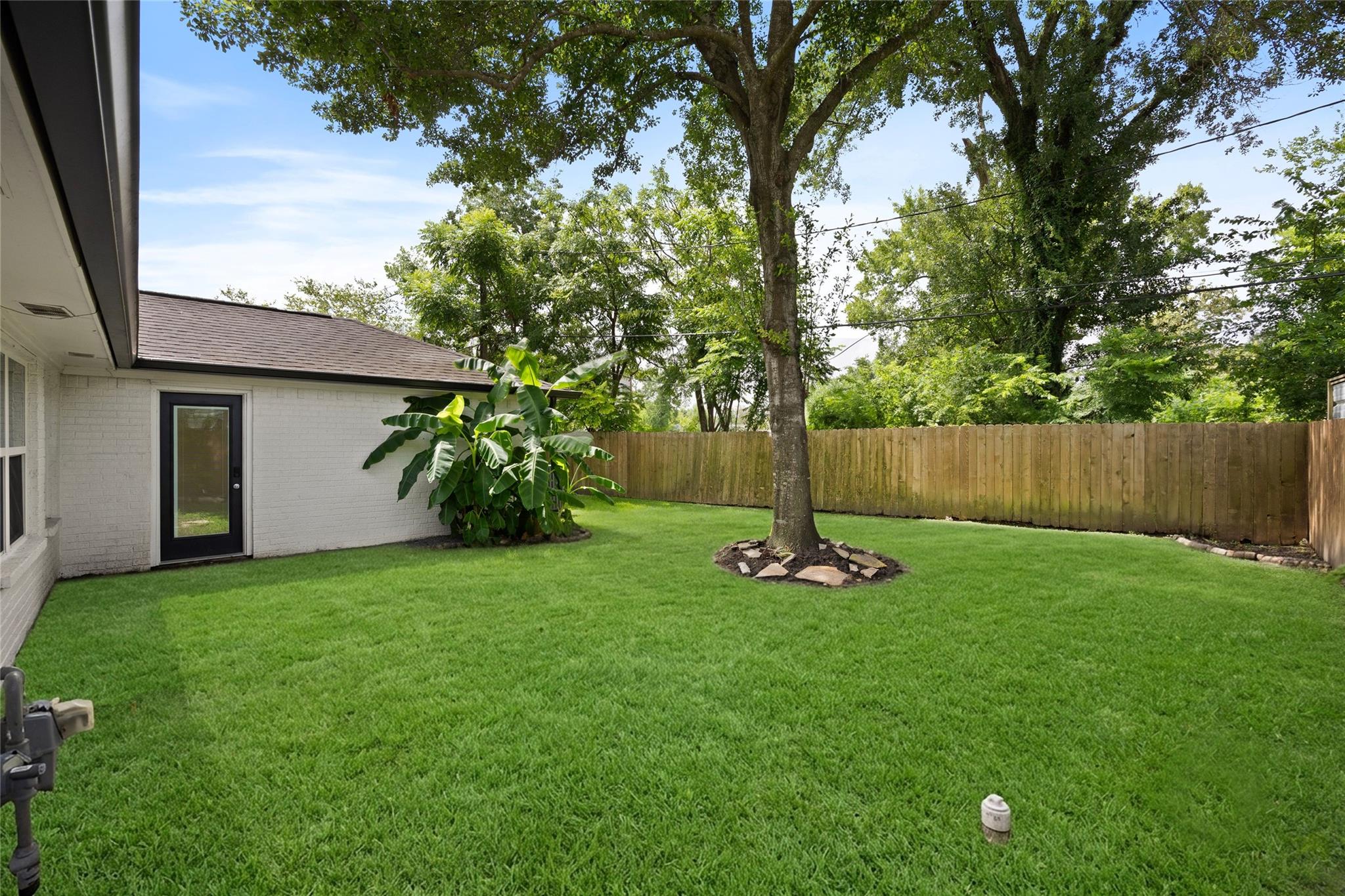 Backyard with a green lawn, mature shade tree, wooden privacy fence, and tropical plants beside the house.