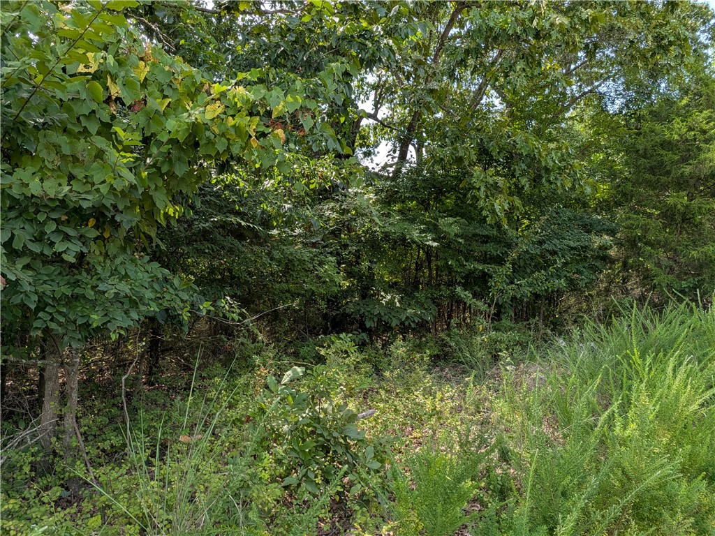 000 Twin Fork Drive