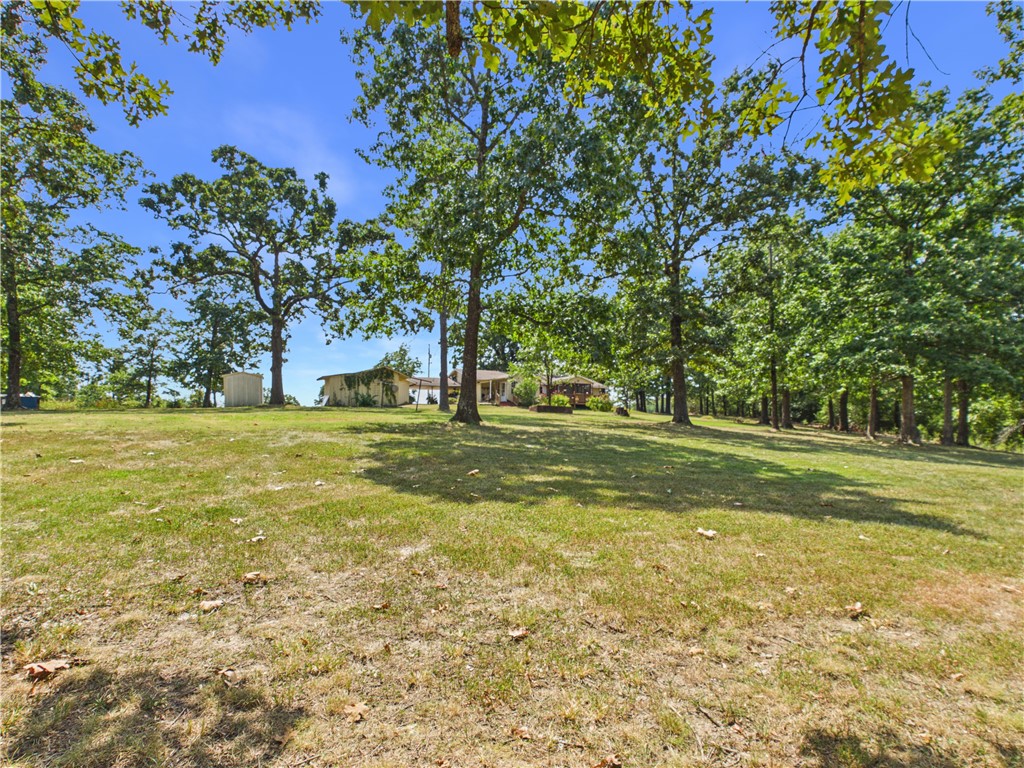 10236 Clay Lane