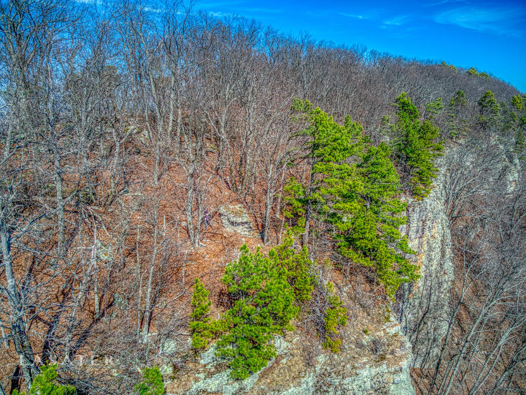 Lot 111 Round Mountain Estates