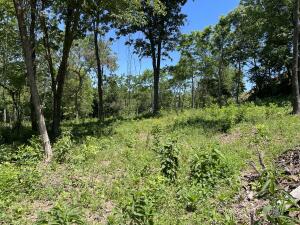 Lot 104 Round Mountain Estates
