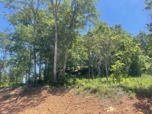 Lot 104 Round Mountain Estates