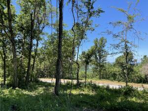 Lot 104 Round Mountain Estates