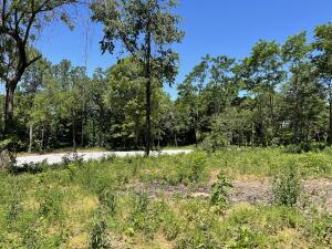 Lot 104 Round Mountain Estates
