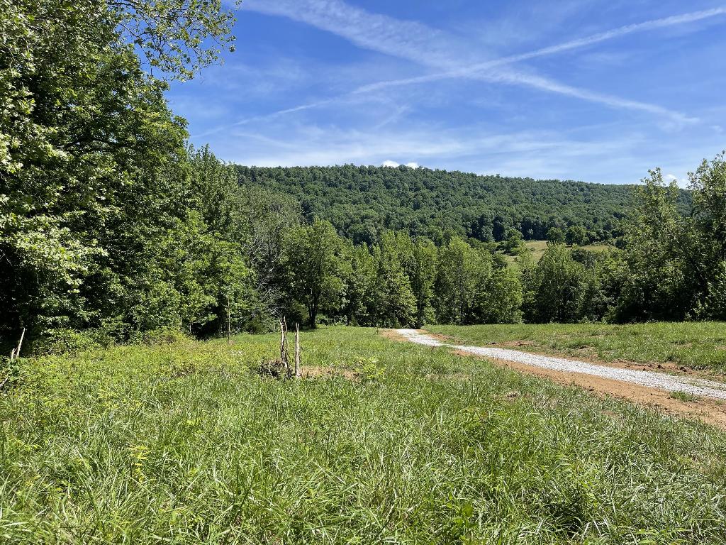 Tract 2 Terrapin Road