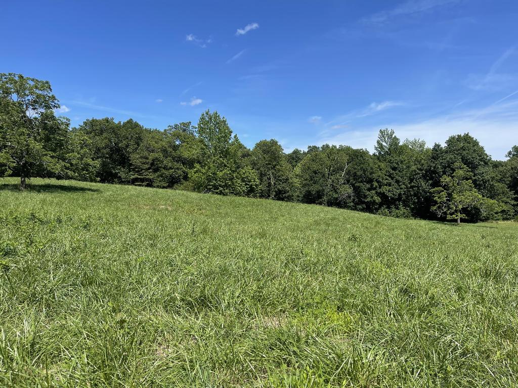 Tract 2 Terrapin Road