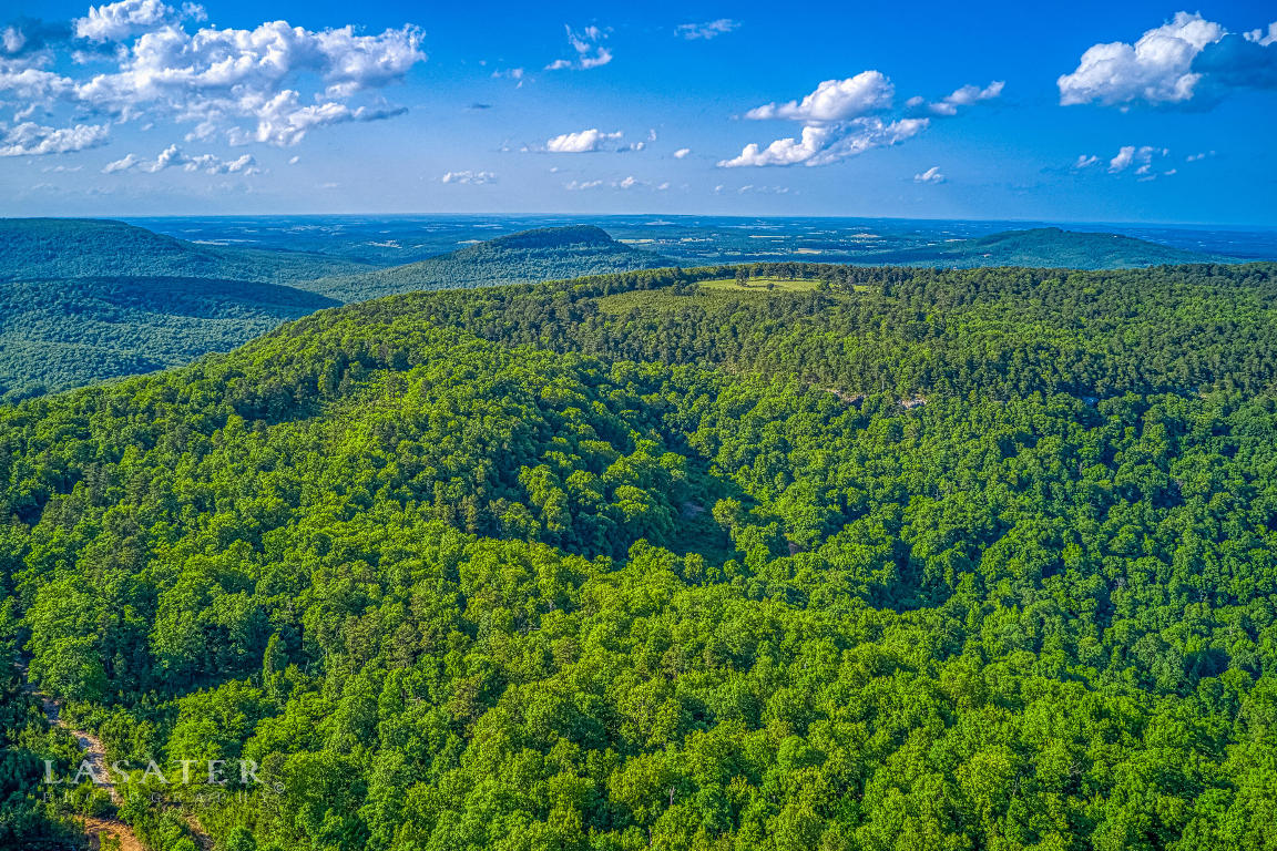 Tract 2 Terrapin Road