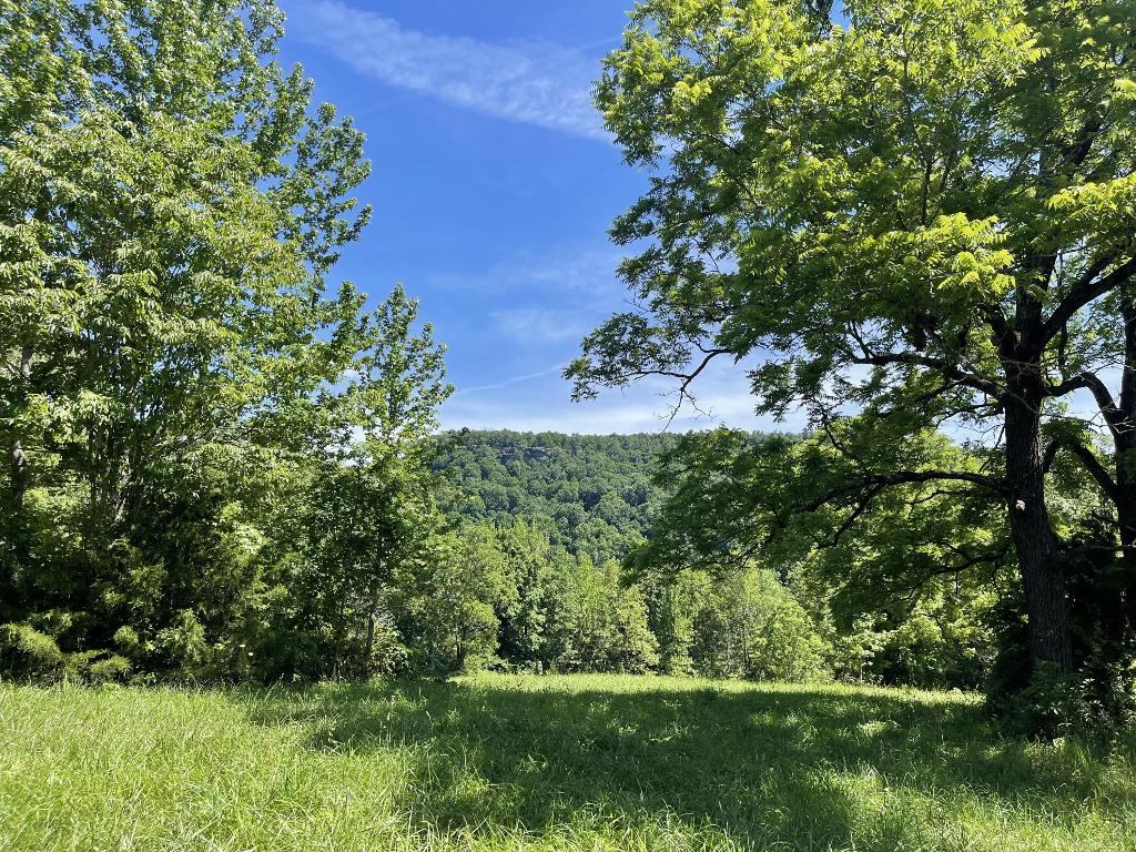 Tract 6 Terrapin Road