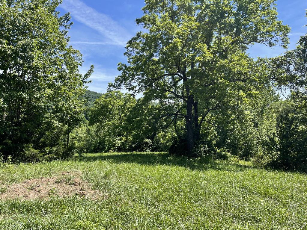 Tract 6 Terrapin Road