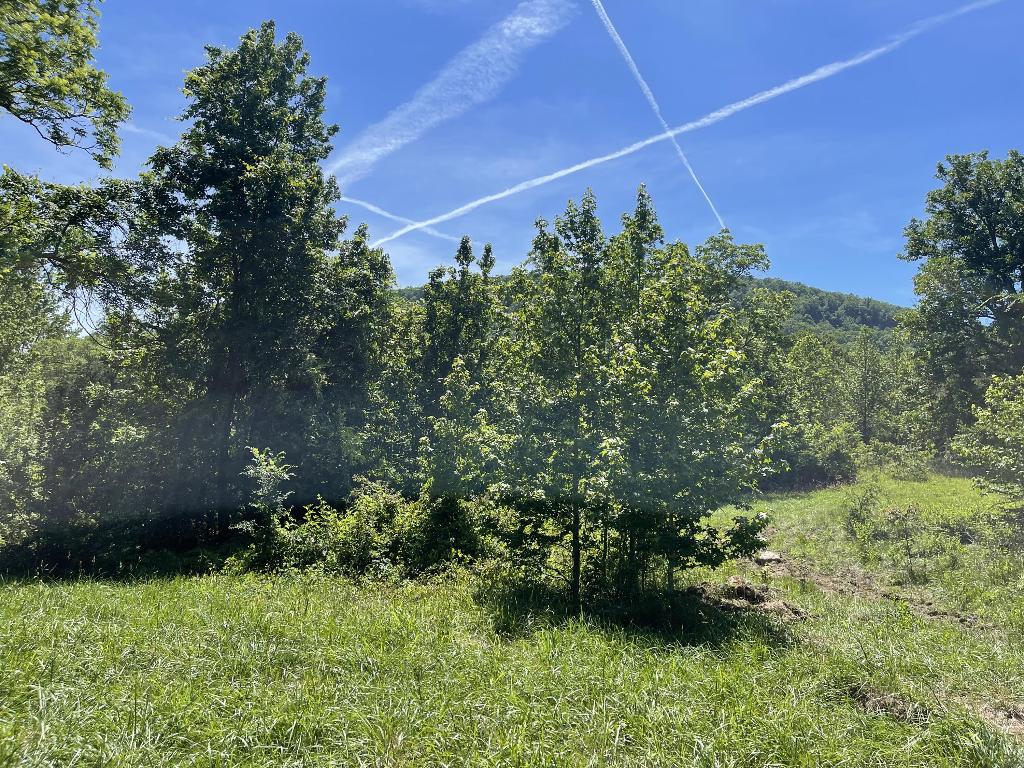 Tract 6 Terrapin Road