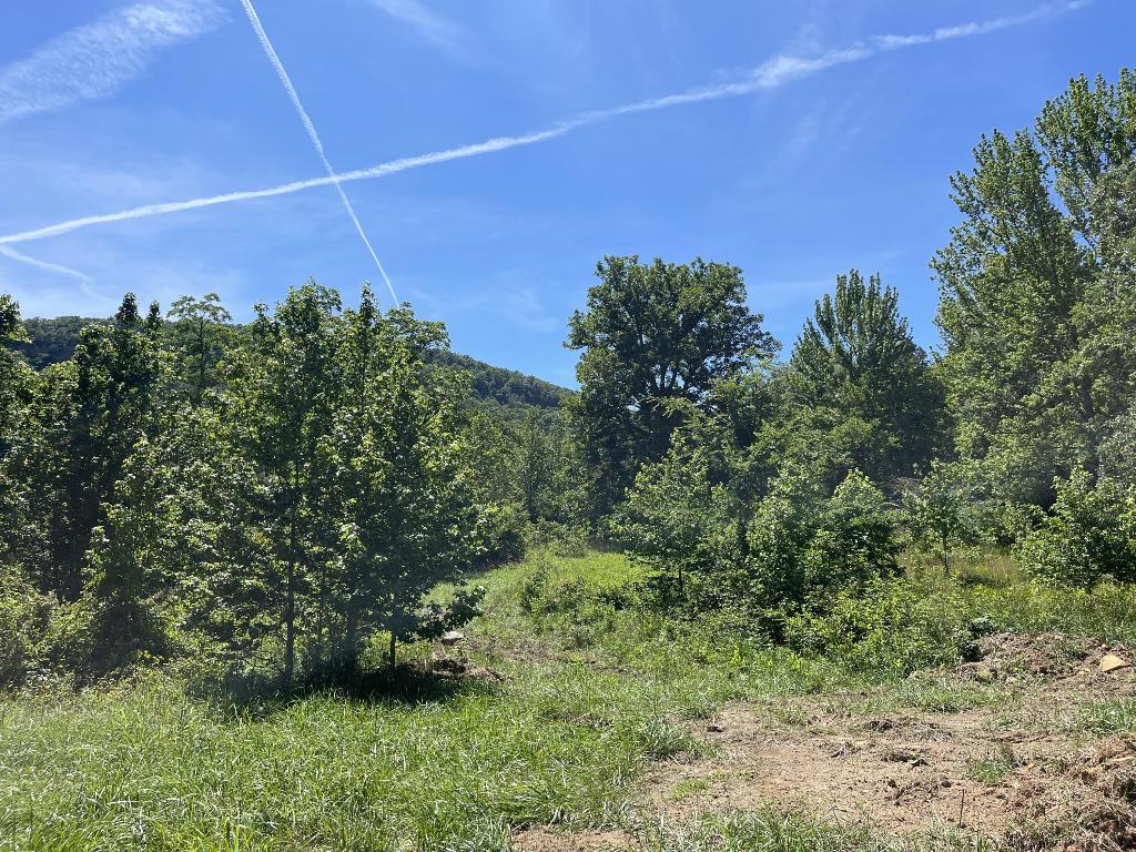 Tract 6 Terrapin Road