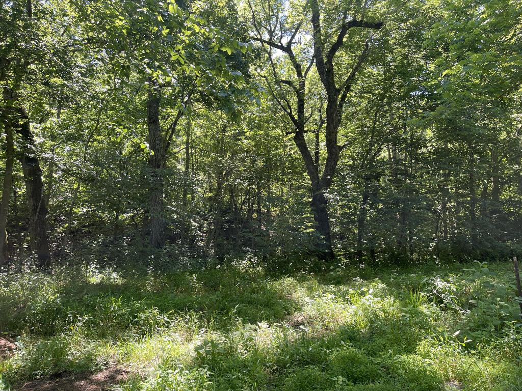 Tract 5 Terrapin Road