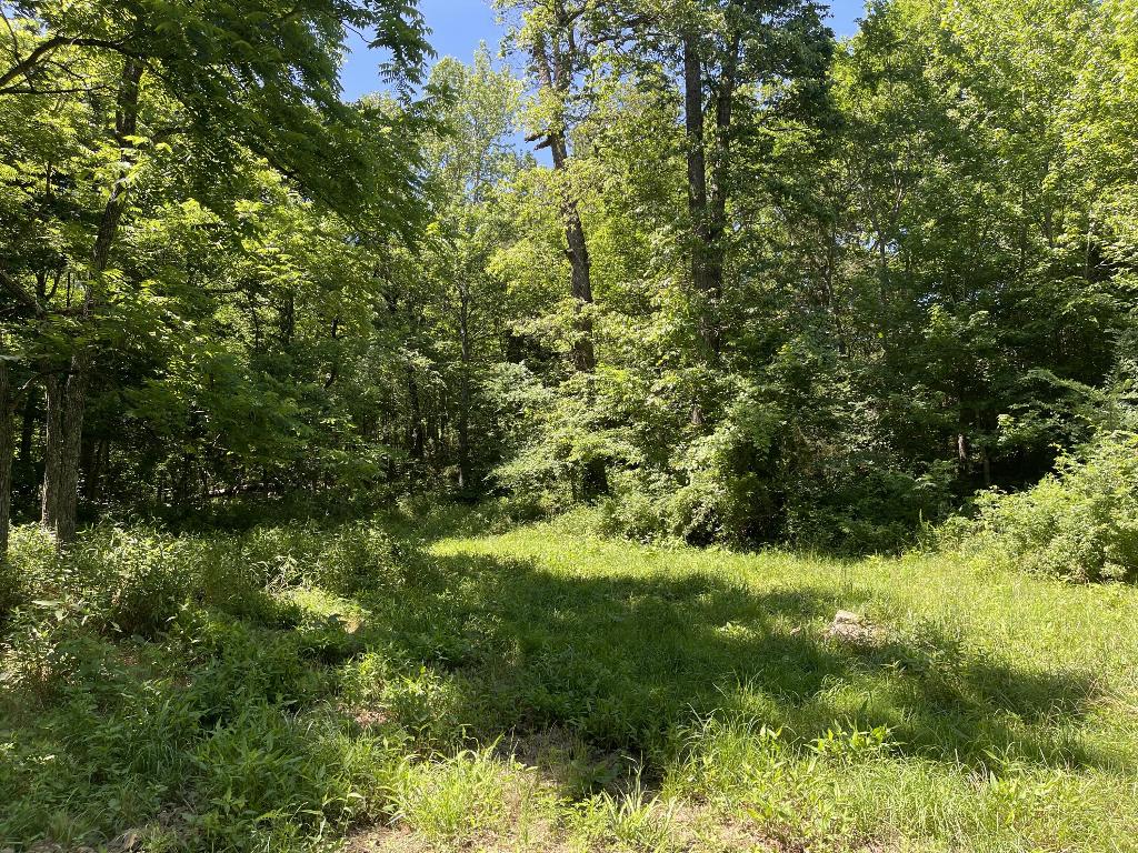 Tract 5 Terrapin Road