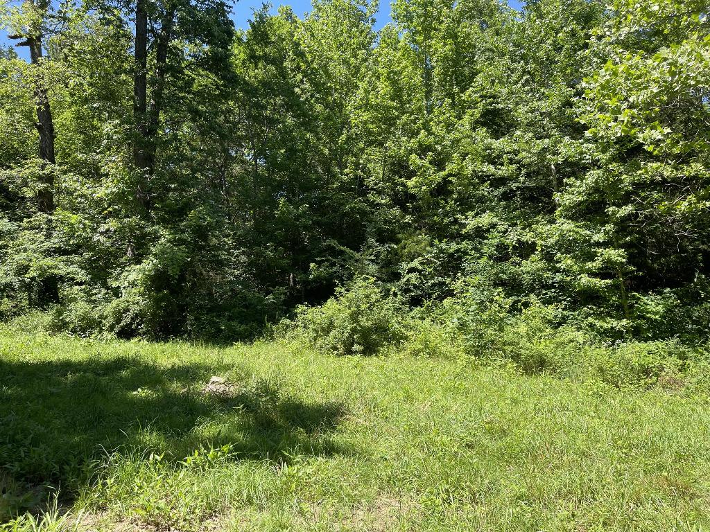 Tract 5 Terrapin Road