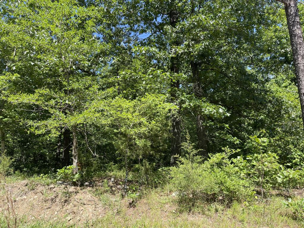 Tract 5 Terrapin Road