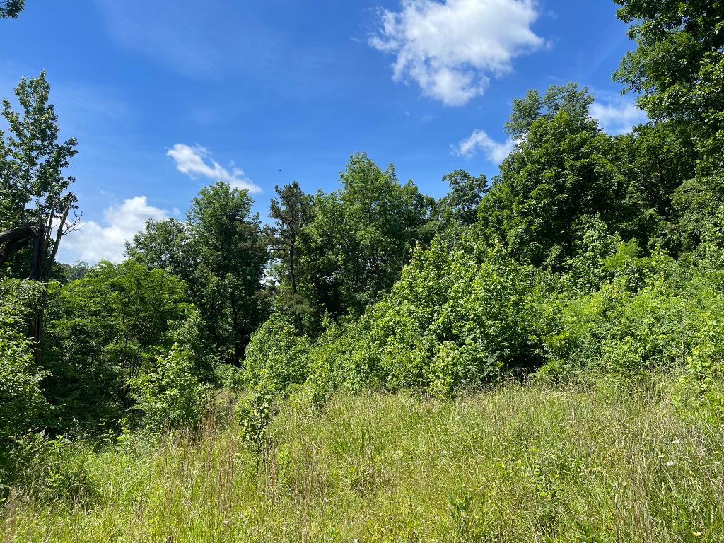 Tract 14 Terrapin Road