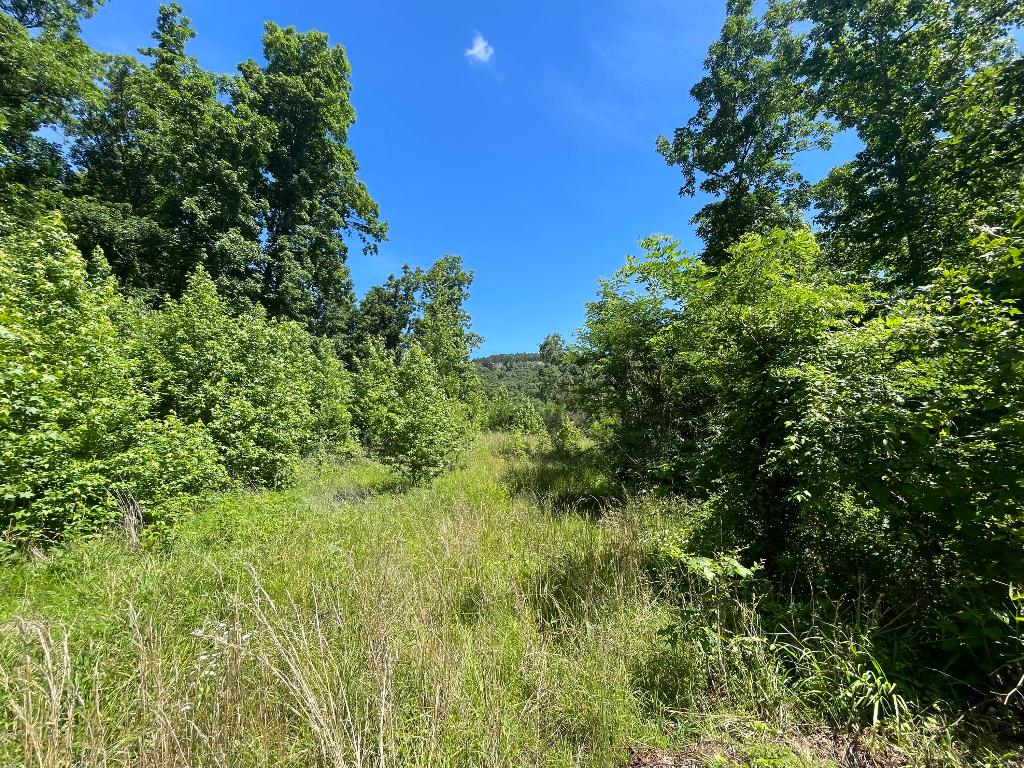 Tract 14 Terrapin Road