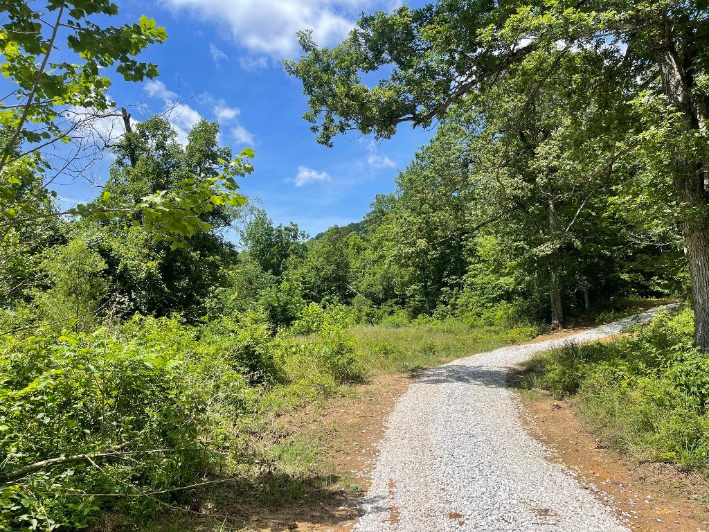 Tract 14 Terrapin Road