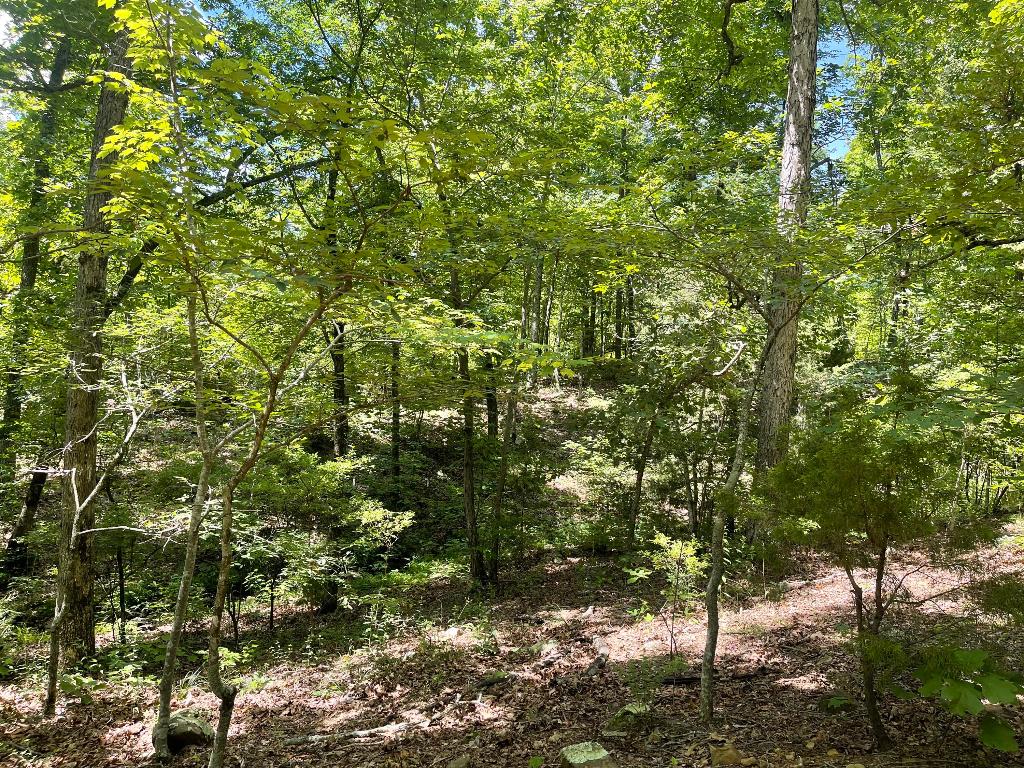 Tract 14 Terrapin Road