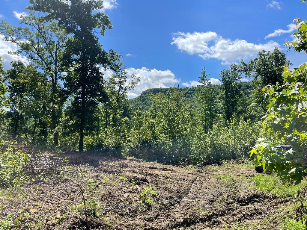 Tract 14 Terrapin Road