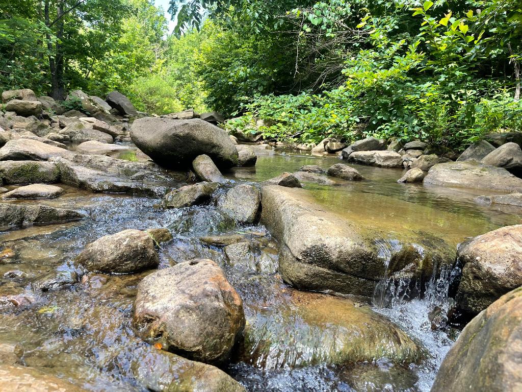 Tract 14 Terrapin Road