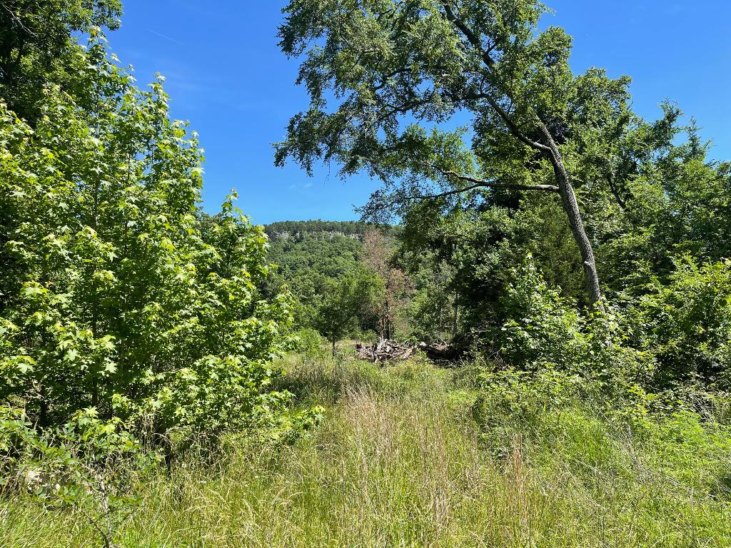 Tract 14 Terrapin Road