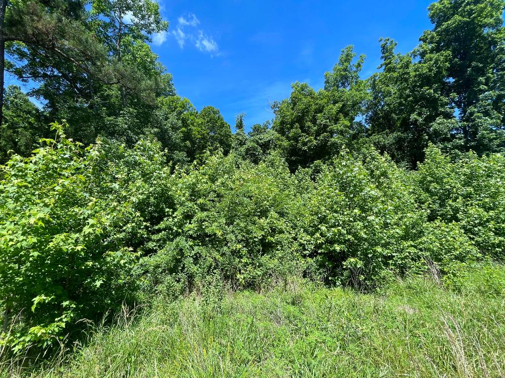 Tract 14 Terrapin Road